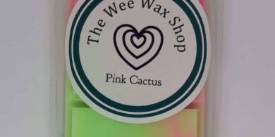 Snap Bar Pink Cactus Wax Melt