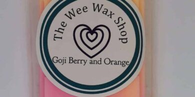 Snap Bar Goji Berry and Orange Wax Melt