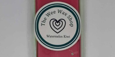 Snap Bar Watermelon Kiwi Wax Melt