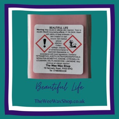 Beautiful life back